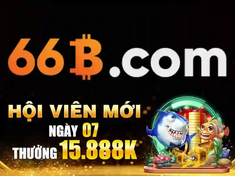 66b là một từ khóa đa nghĩa