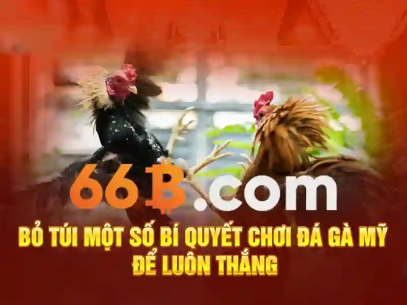 Lịch sử và động lực phát triển