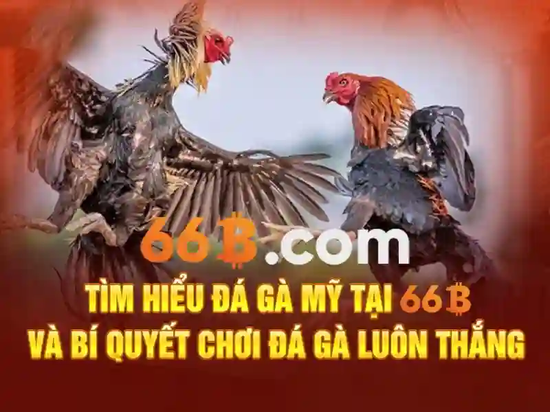 BỘ PHỤ KIỆN GUCEN G-B1101