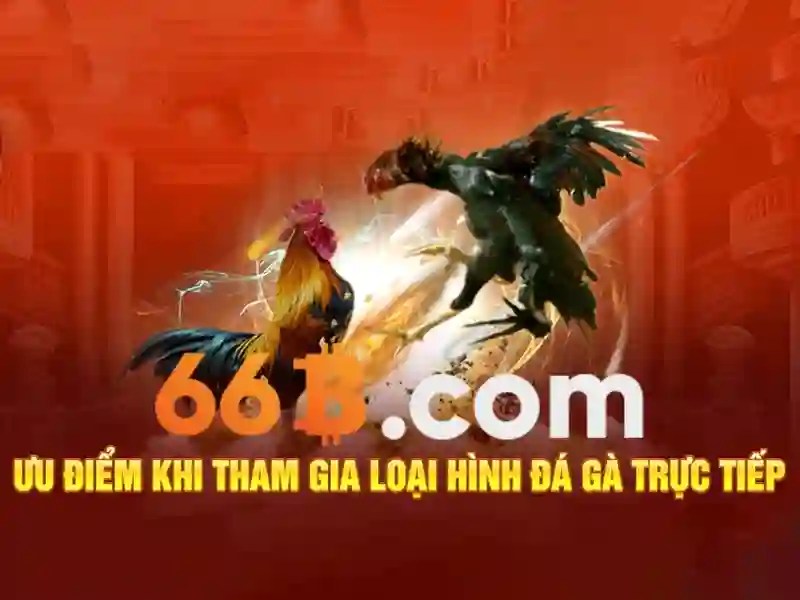 Nhà Cái Đổi Thưởng 66B COM Không Chặn +66K