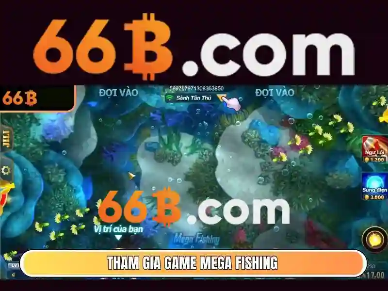66b là gì