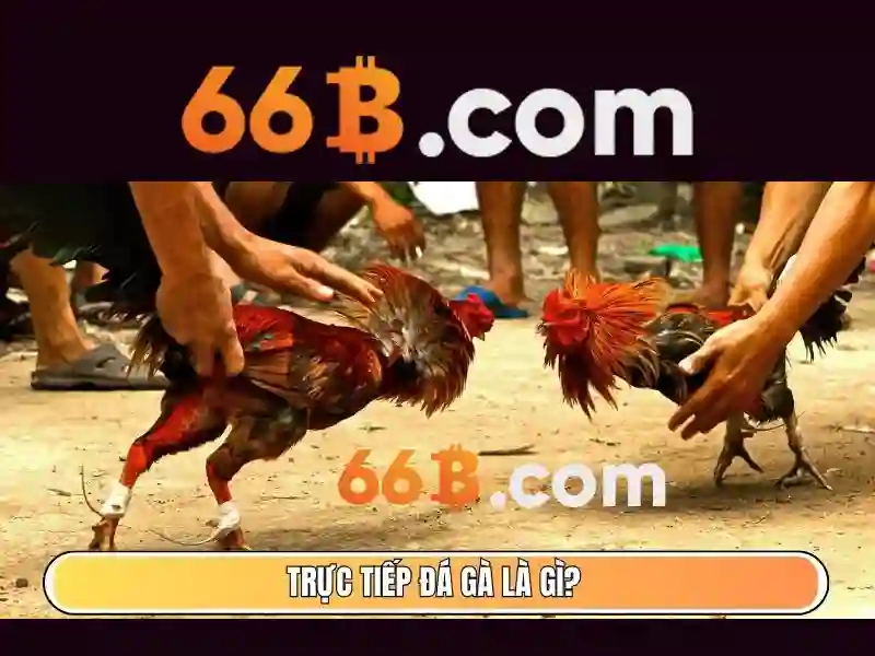 Cấu trúc và tham số