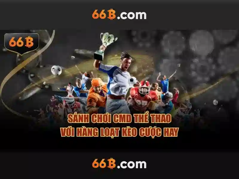 66b là gì