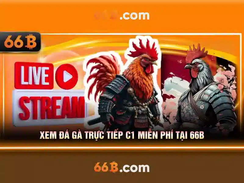 66b được áp dụng rộng rãi trong phân tích dữ liệu và thiết kế hệ thống.