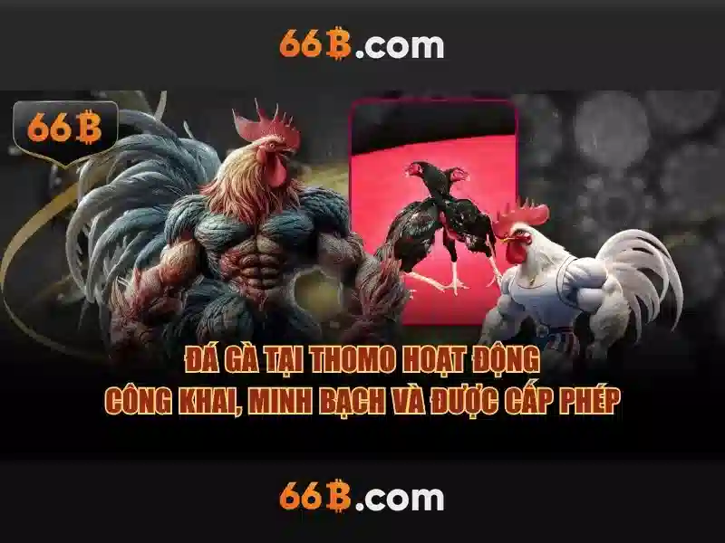 66b: Mô hình ngôn ngữ có 66 tỷ tham số Giao diện nhà cái hoàn hảo