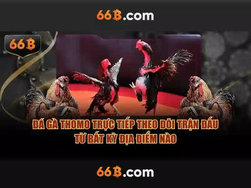 Các ứng dụng phổ biến