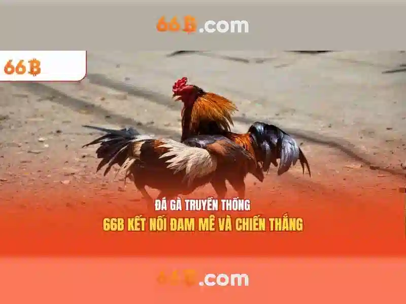ban-do-toan-cuc