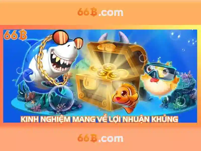 Khái niệm cơ bản của 66b