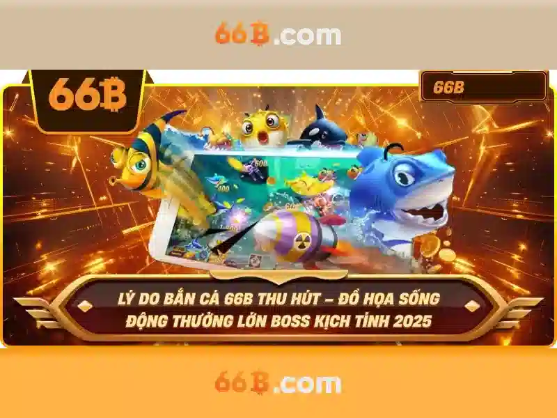 Những lưu ý khi làm việc với 66b