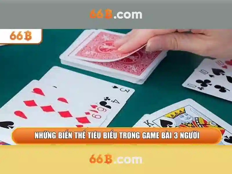 Đo lường và mô hình