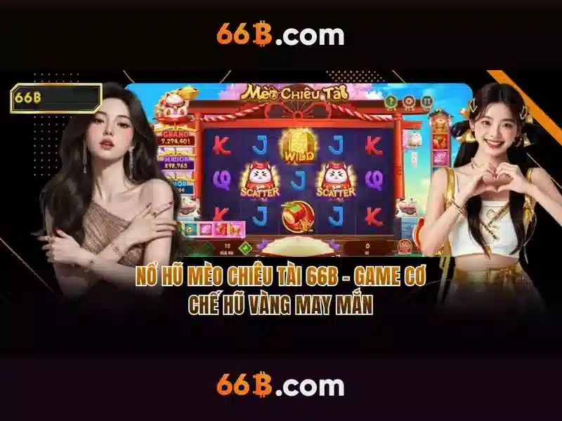 66b là gì? 