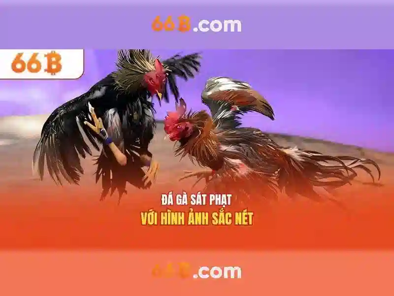 Khái niệm về 66B