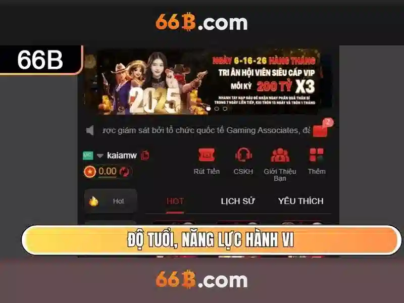 Lịch sử và ý nghĩa của ký hiệu 66b