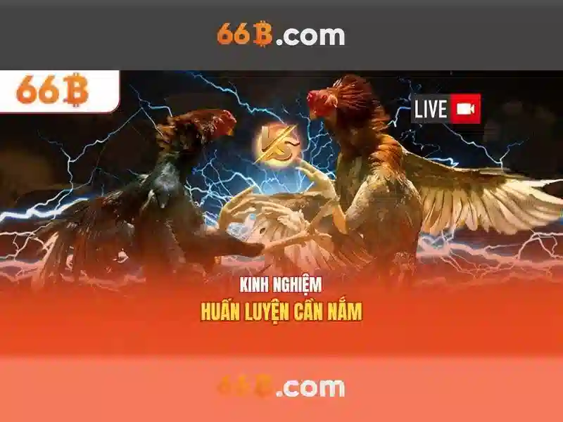Đặc điểm kỹ thuật của 66B