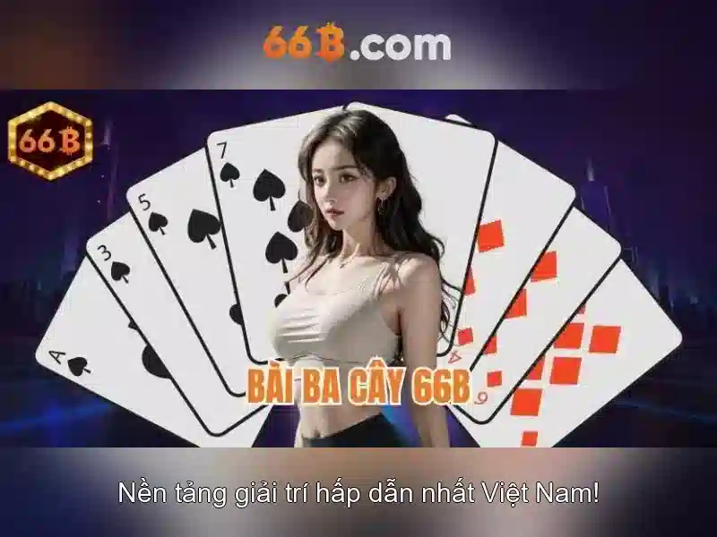 Ghi chú kết luận về 66B
