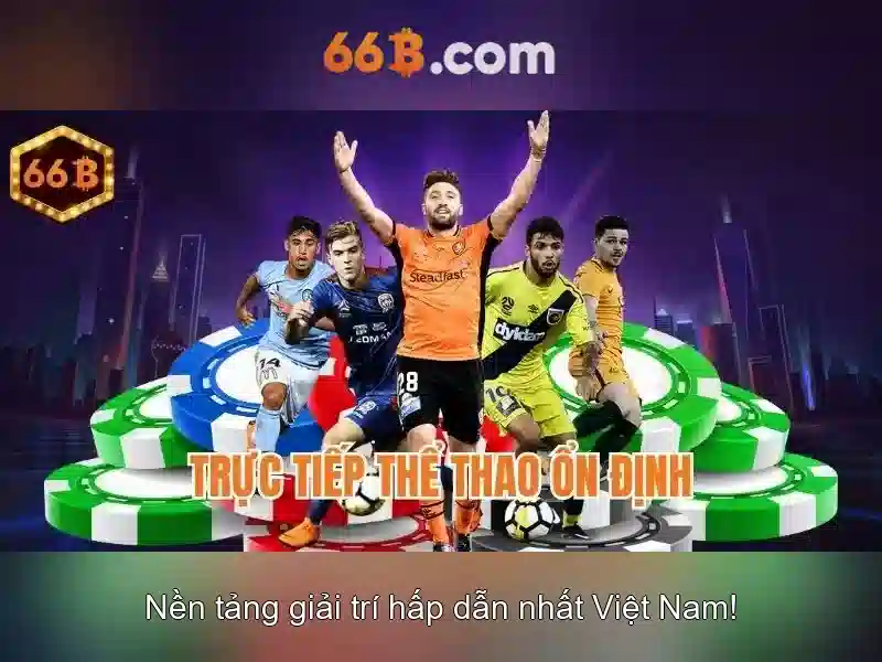Ứng dụng của 66b trong doanh nghiệp