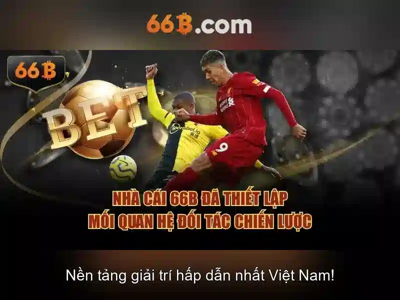 so-do-quan-ly-von-66b