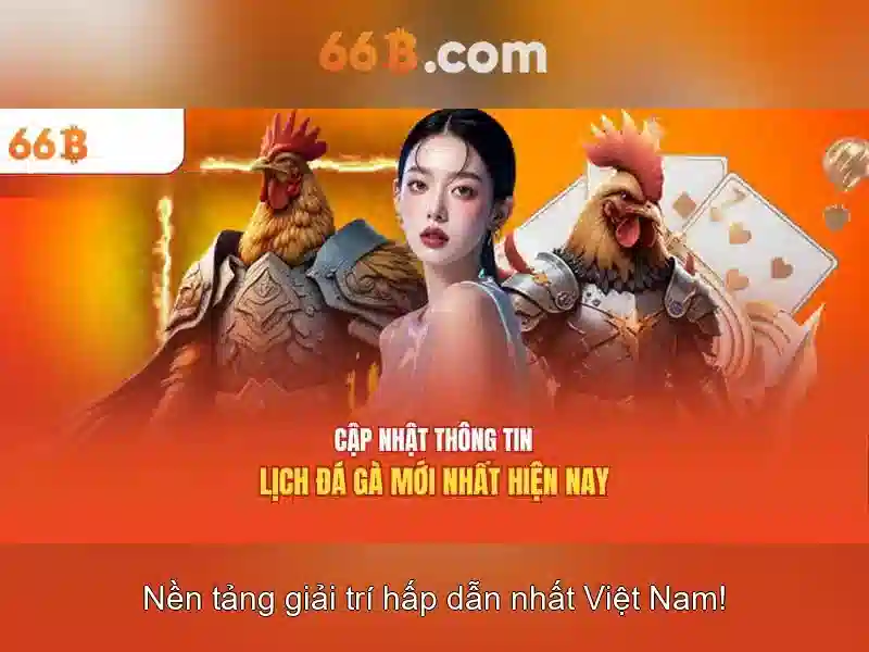 66b va tong quan ve no