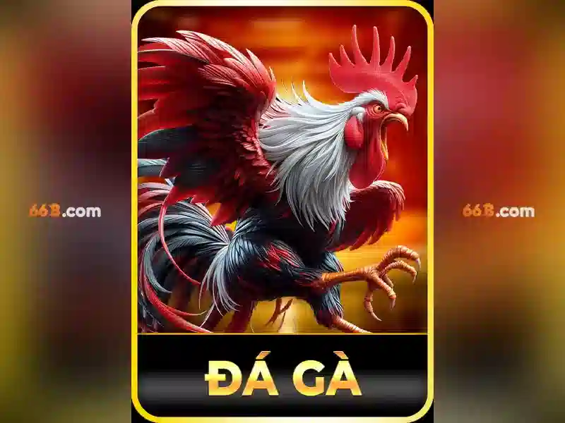 Giới thiệu về mô hình 66B