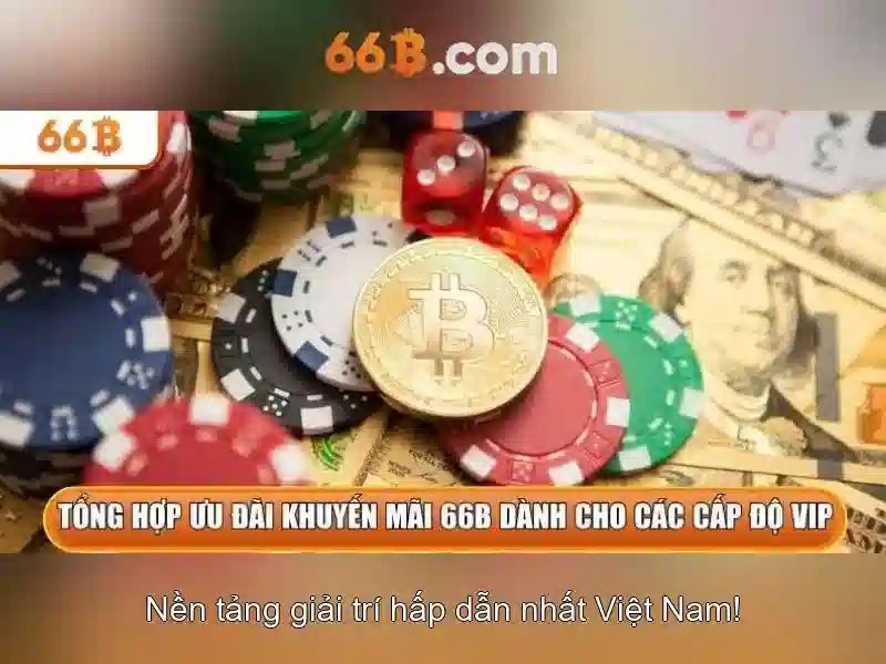 66B là gì?