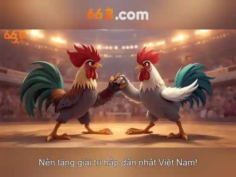 Giao diện nhà cái hoàn hảo
