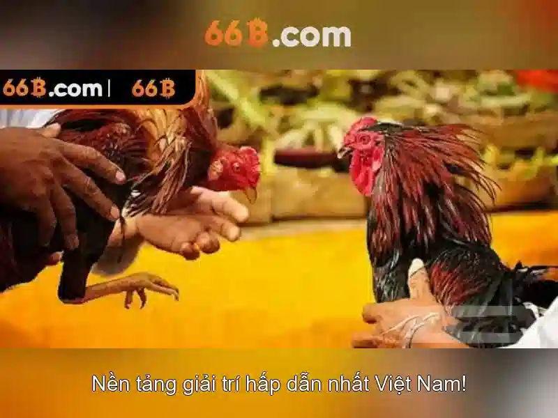 66b: một mô hình ngôn ngữ lớn và tương lai của AI Giao diện nhà cái hoàn hảo