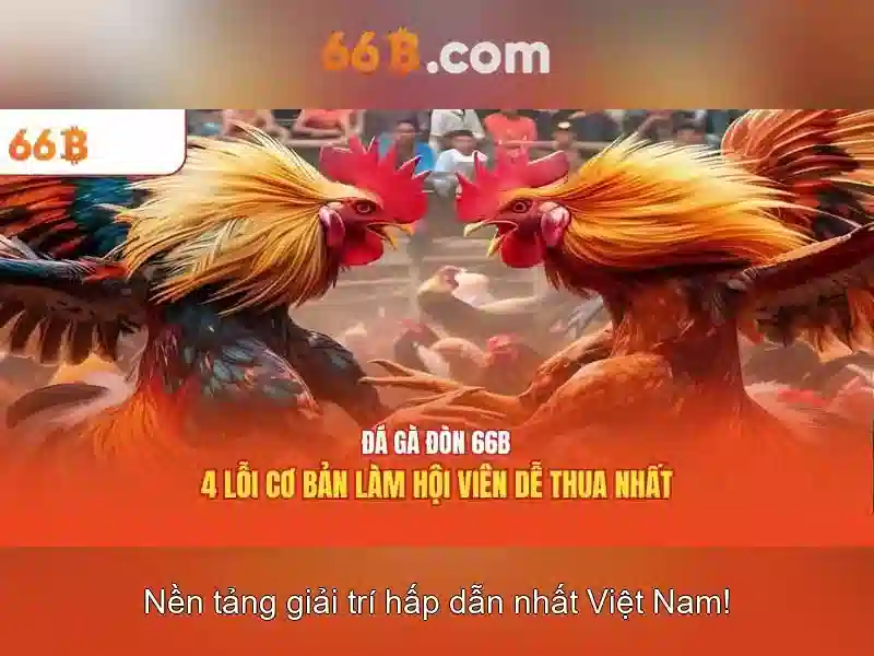 66B là gì và tại sao nó quan trọng