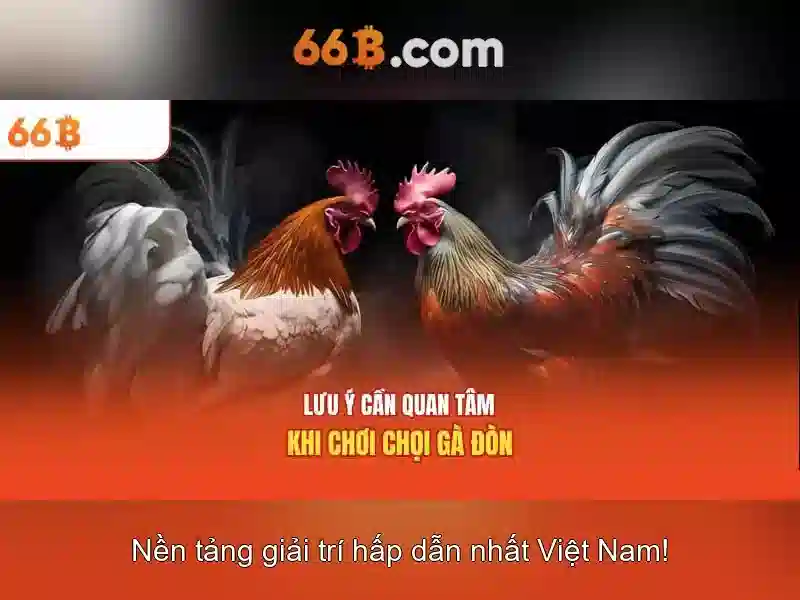 66B là gì