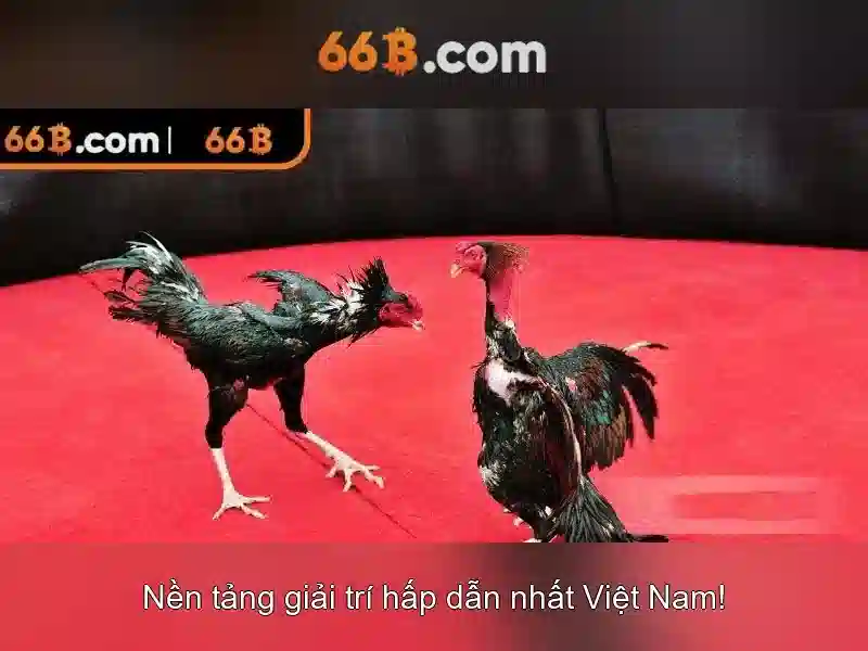 Kiến trúc và khả năng học tập của 66B