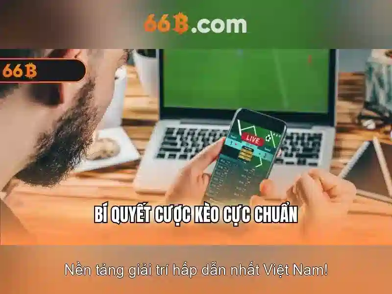 Lĩnh vực ứng dụng của 66B