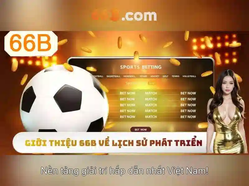 66B là gì và tại sao nó quan trọng