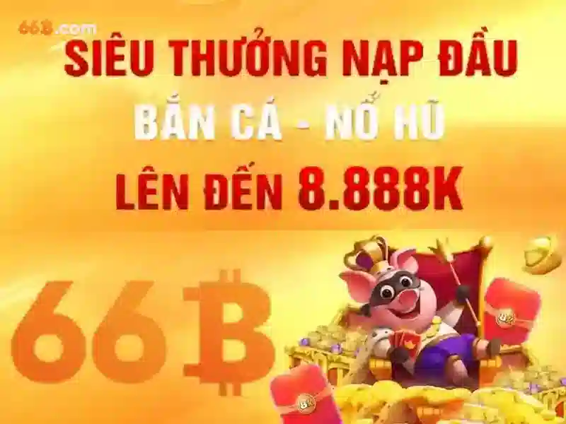 66b là gì?