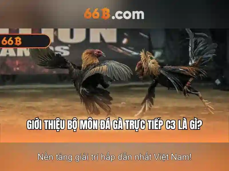 Giao diện nhà cái hoàn hảo