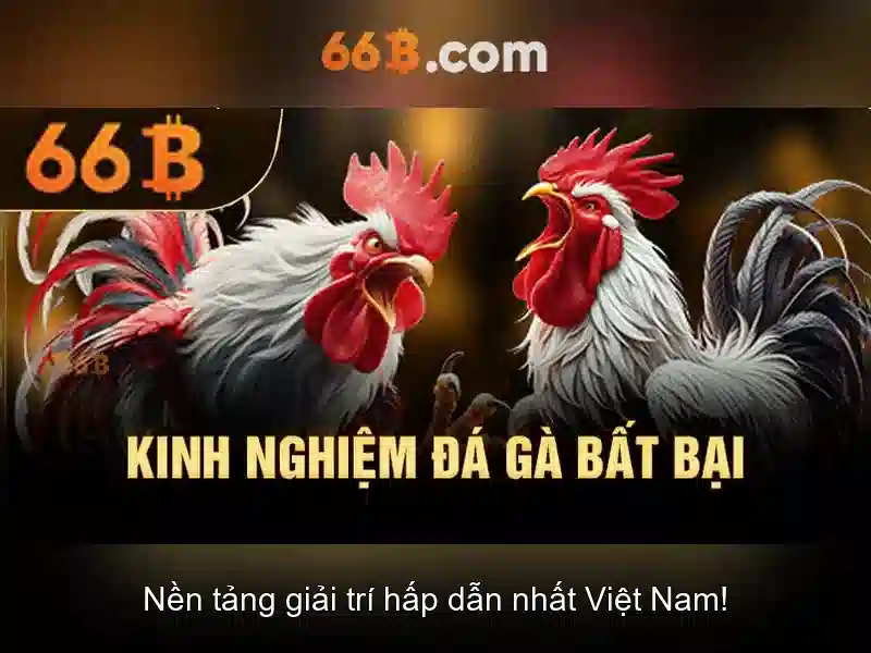 Kiến trúc cơ bản của 66B