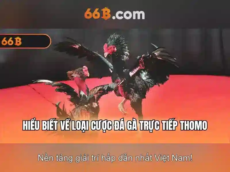Ứng dụng và ý nghĩa trong đời sống