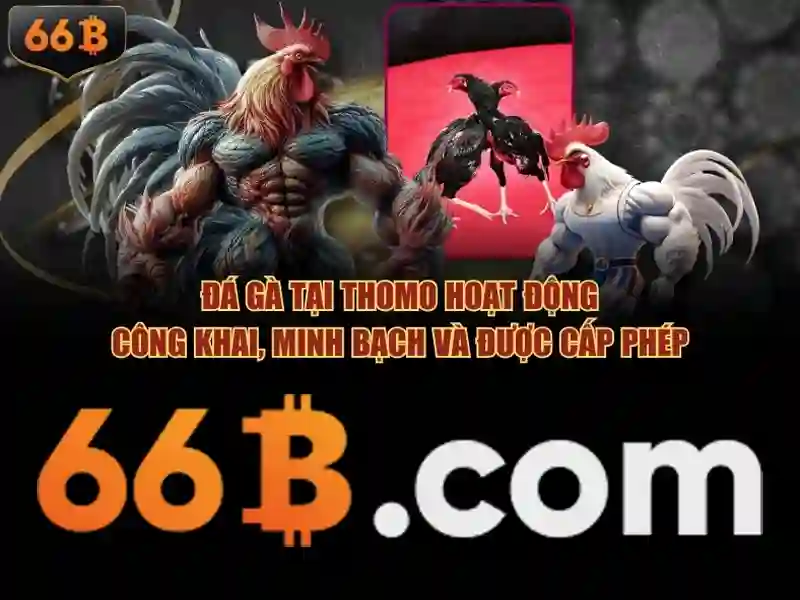 Triển khai và lợi ích của 66b trong doanh nghiệp
