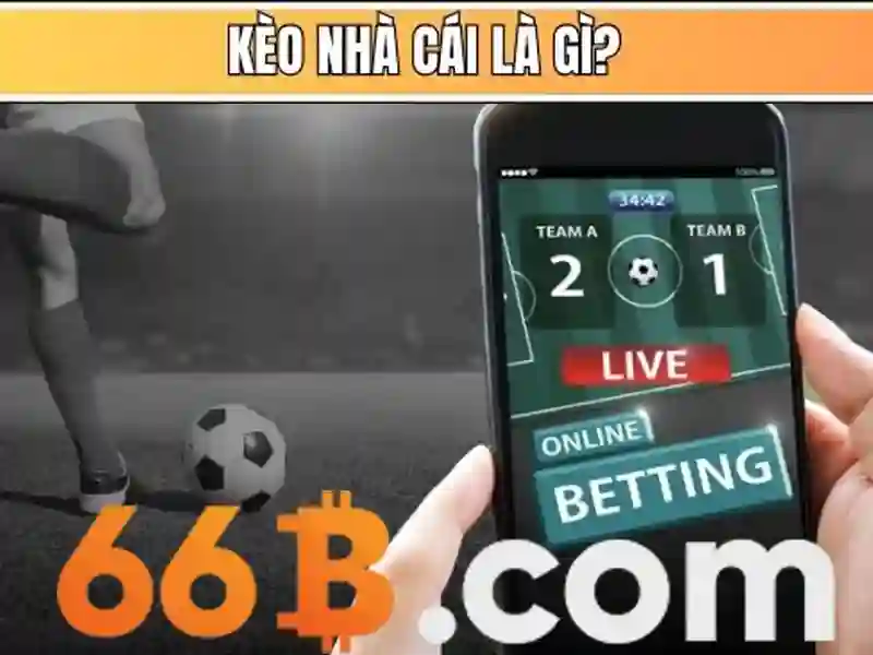 Giao diện nhà cái hoàn hảo