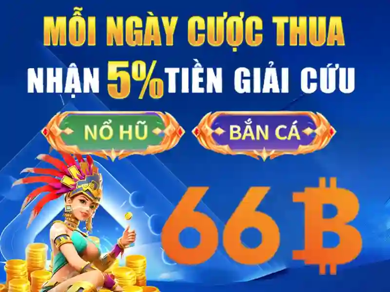 Tương lai của 66B và xu hướng phát triển