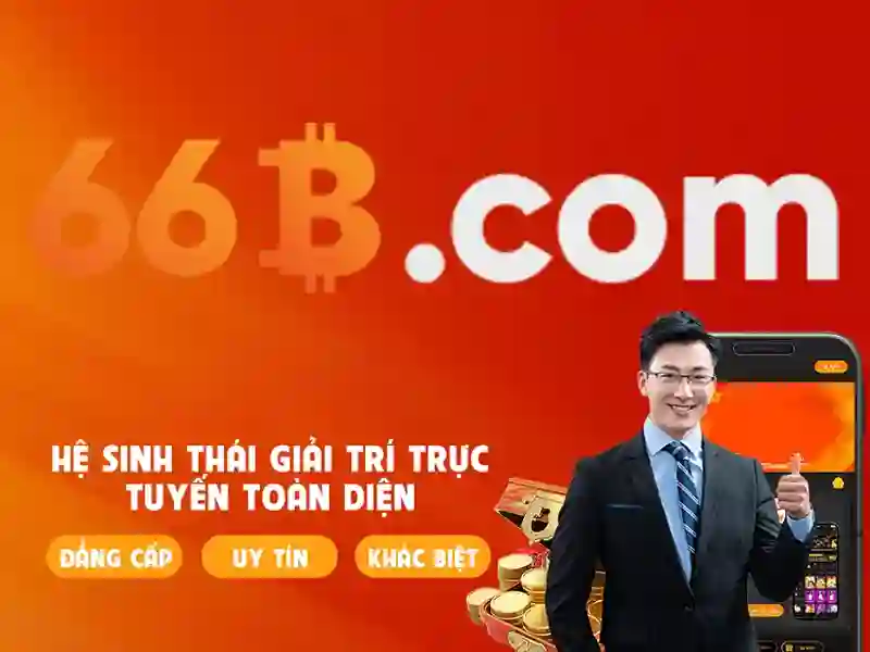 Khái niệm cơ bản về 66B