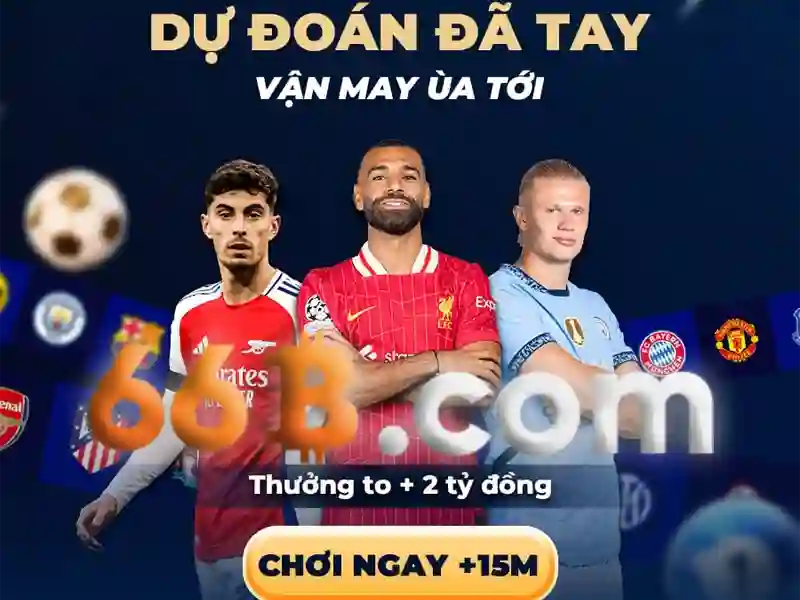 66b là gì và nguồn gốc của thuật ngữ